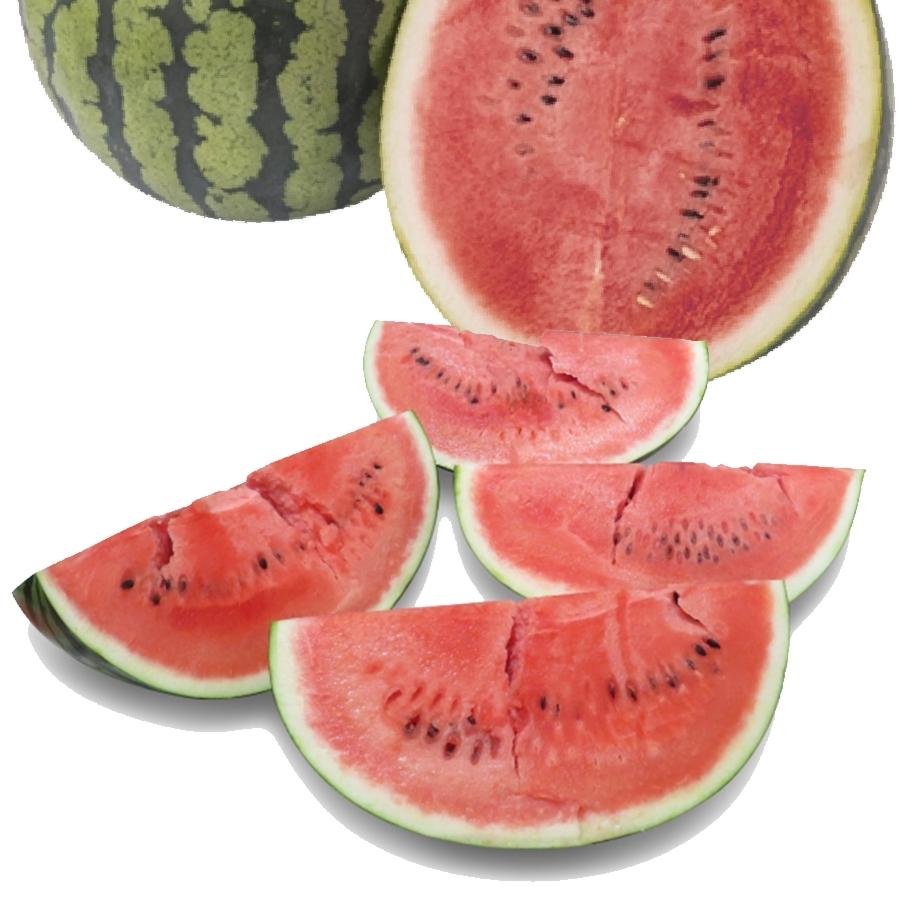 高糖度 大栄 すいか 約7kg以上 大玉 鳥取 北栄町 優品 産地直送 スイカ 西瓜 父の日 ギフト 箱売り 歳末 お歳暮 年末グルメ 贈答 迎春 | おさかな問屋 魚奏 | 09