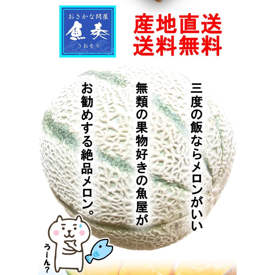 おさかな問屋 魚奏 高糖度 極上 マルセイユメロン 約5kg前後（3〜6玉