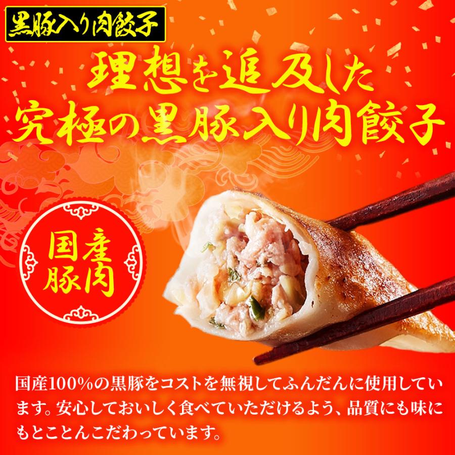 究極の 海老餃子 & 黒豚入り肉餃子 セット 100粒（各50粒づつ×2袋） 餃子 ぎょうざ ギョウザ 歳末 お歳暮 年末グルメ 贈答 迎春 | おさかな問屋 魚奏 | 12