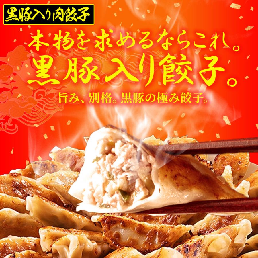 究極の 海老餃子 & 黒豚入り肉餃子 セット 100粒（各50粒づつ×2袋） 餃子 ぎょうざ ギョウザ 歳末 お歳暮 年末グルメ 贈答 迎春 | おさかな問屋 魚奏 | 09