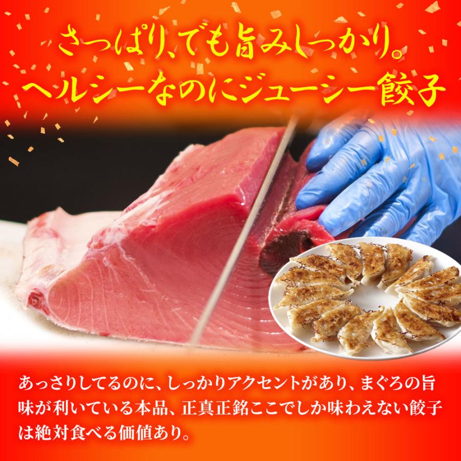 究極のまぐろ餃子 100粒(50粒×2袋 まぐろ餃子 鮪餃子 まぐろ マグロ 鮪 餃子 ぎょうざ ギョウザ 冷凍 歳末 お歳暮 年末グルメ 贈答 迎春 | おさかな問屋 魚奏 | 06