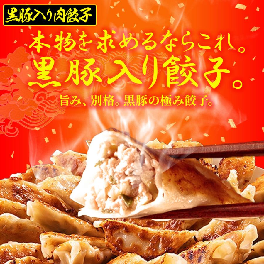 究極のまぐろ餃子 & 黒豚入り肉餃子 セット 100粒（各50粒づつ×2袋） 餃子 ぎょうざ ギョウザ 歳末 お歳暮 年末グルメ 贈答 迎春 | おさかな問屋 魚奏 | 02