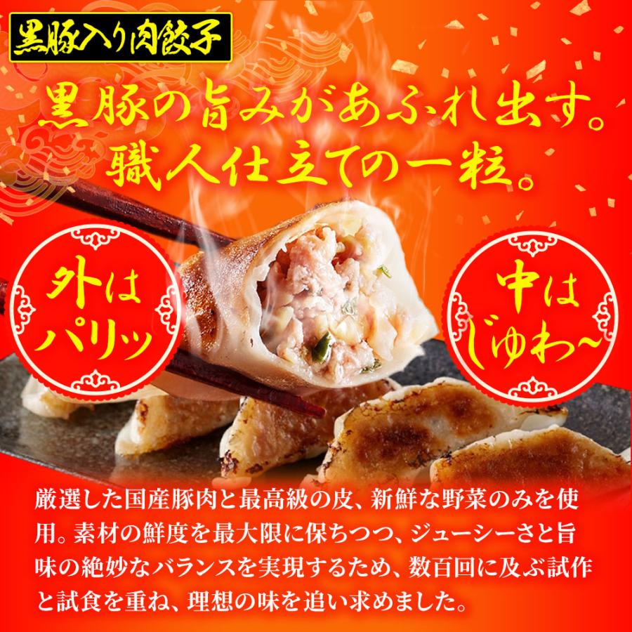 究極のまぐろ餃子 & 黒豚入り肉餃子 セット 100粒（各50粒づつ×2袋） 餃子 ぎょうざ ギョウザ 歳末 お歳暮 年末グルメ 贈答 迎春 | おさかな問屋 魚奏 | 03