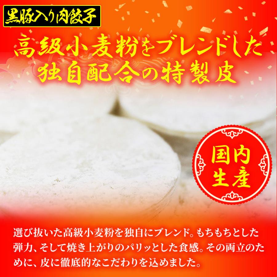 究極のまぐろ餃子 & 黒豚入り肉餃子 セット 100粒（各50粒づつ×2袋） 餃子 ぎょうざ ギョウザ 歳末 お歳暮 年末グルメ 贈答 迎春 | おさかな問屋 魚奏 | 04