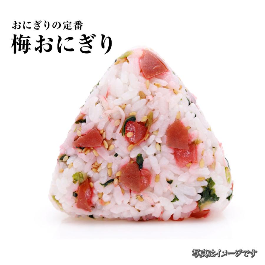 すこし訳あり 紀州南高梅 しそ梅 1kg 梅干し うめ ウメ 梅 徳用 大容量 南高梅 塩分10％ つぶれ 歳末 お歳暮 年末グルメ 贈答 迎春 | おさかな問屋 魚奏 | 10