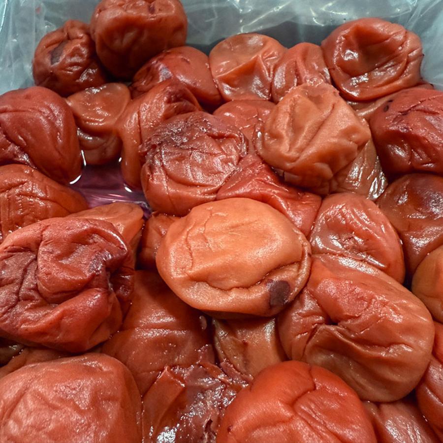 すこし訳あり 紀州南高梅 しそ梅 1kg 梅干し うめ ウメ 梅 徳用 大容量 南高梅 塩分10％ つぶれ 歳末 お歳暮 年末グルメ 贈答 迎春 | おさかな問屋 魚奏 | 17