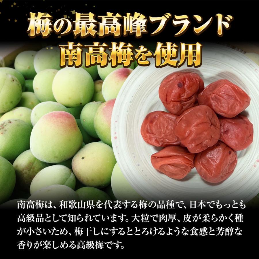 すこし訳あり 紀州南高梅 しそ梅 1kg 梅干し うめ ウメ 梅 徳用 大容量 南高梅 塩分10％ つぶれ 歳末 お歳暮 年末グルメ 贈答 迎春 | おさかな問屋 魚奏 | 03