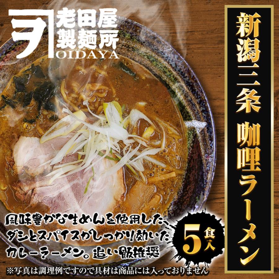 新潟三条 珈竰ラーメン 5食 生めん カレー ラーメン らーめん 拉麺 ご当地 取り寄せ 新潟 ポイント消化 歳末 お歳暮 年末グルメ 贈答 迎春 | おさかな問屋 魚奏 | 01