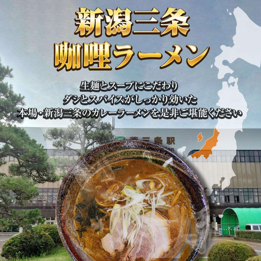 新潟三条 珈竰ラーメン 5食 生めん カレー ラーメン らーめん 拉麺 ご当地 取り寄せ 新潟 ポイント消化 歳末 お歳暮 年末グルメ 贈答 迎春 | おさかな問屋 魚奏 | 02