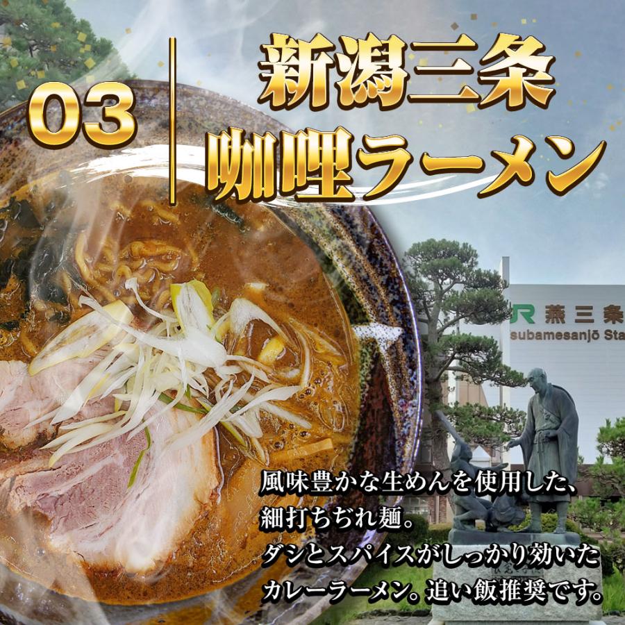 5種から選べる 全国ご当地ラーメン 5食 生めん 豚骨 塩 醤油 味噌 カレー ご当地 取寄せ ポイント消化 歳末 お歳暮 年末グルメ 贈答 迎春 | おさかな問屋 魚奏 | 11
