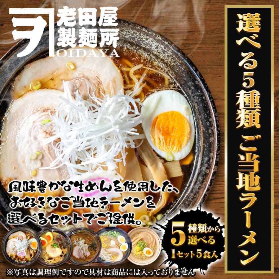 5種から選べる 全国ご当地ラーメン 5食 生めん 豚骨 塩 醤油 味噌 カレー ご当地 取寄せ ポイント消化 歳末 お歳暮 年末グルメ 贈答 迎春 | おさかな問屋 魚奏 | 01