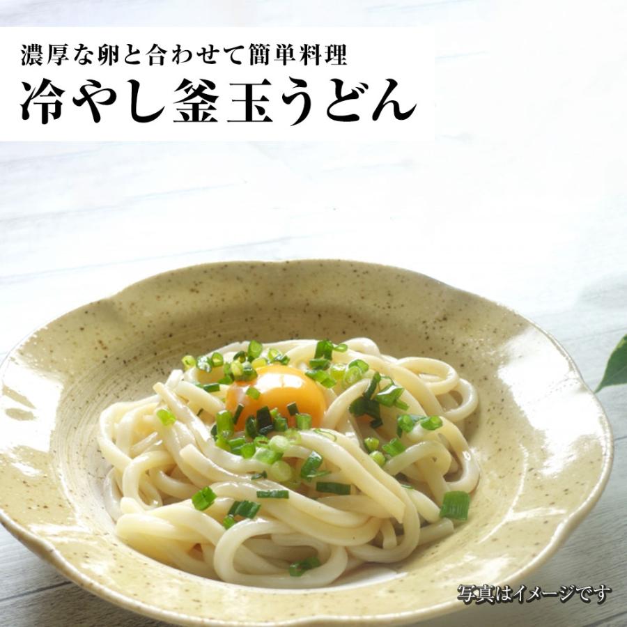 生麺冷やしうどん 5食 生めん ざるうどん 冷やしうどん 饂飩 ウドン ポスト投函 生麺 簡単 歳末 お歳暮 年末グルメ 贈答 迎春 | おさかな問屋 魚奏 | 11
