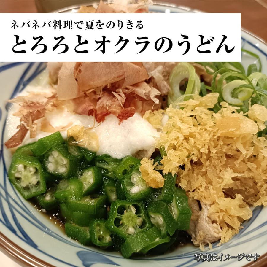 生麺冷やしうどん 5食 生めん ざるうどん 冷やしうどん 饂飩 ウドン ポスト投函 生麺 簡単 歳末 お歳暮 年末グルメ 贈答 迎春 | おさかな問屋 魚奏 | 12