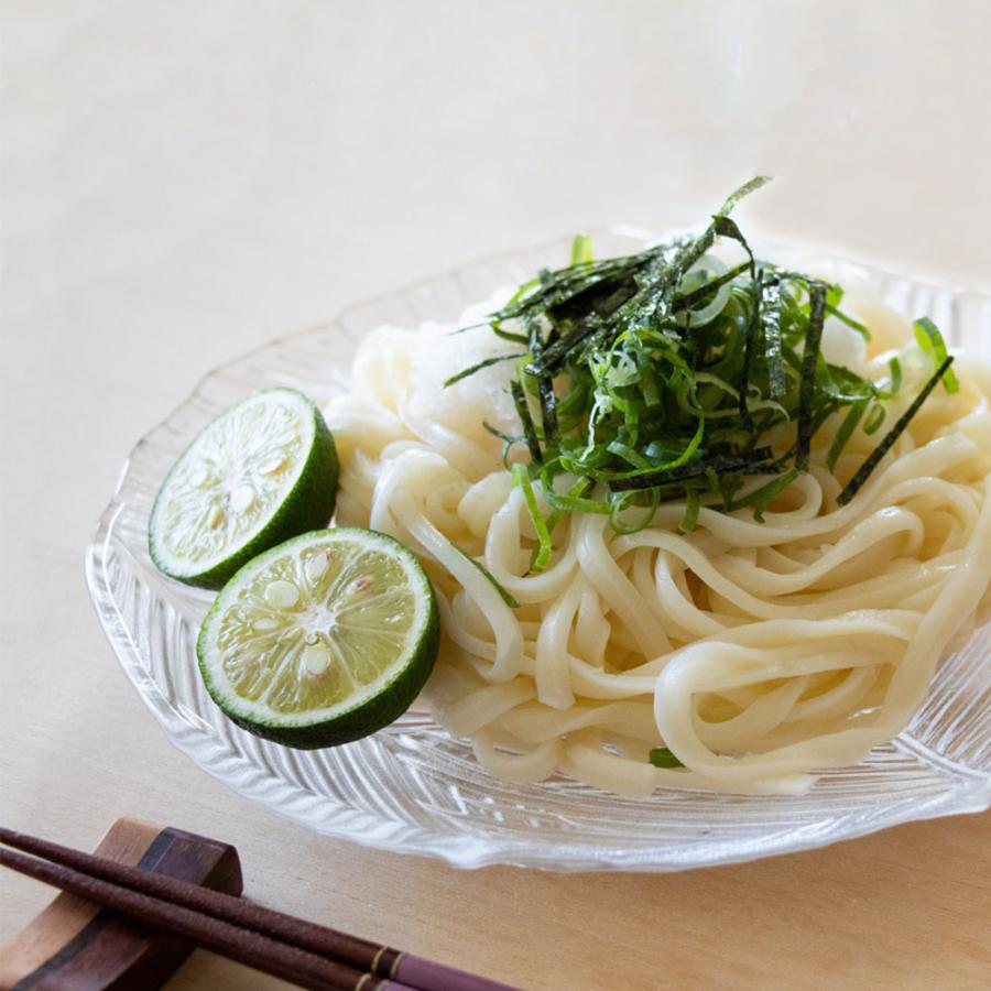 生麺冷やしうどん 5食 生めん ざるうどん 冷やしうどん 饂飩 ウドン ポスト投函 生麺 簡単 歳末 お歳暮 年末グルメ 贈答 迎春 | おさかな問屋 魚奏 | 14