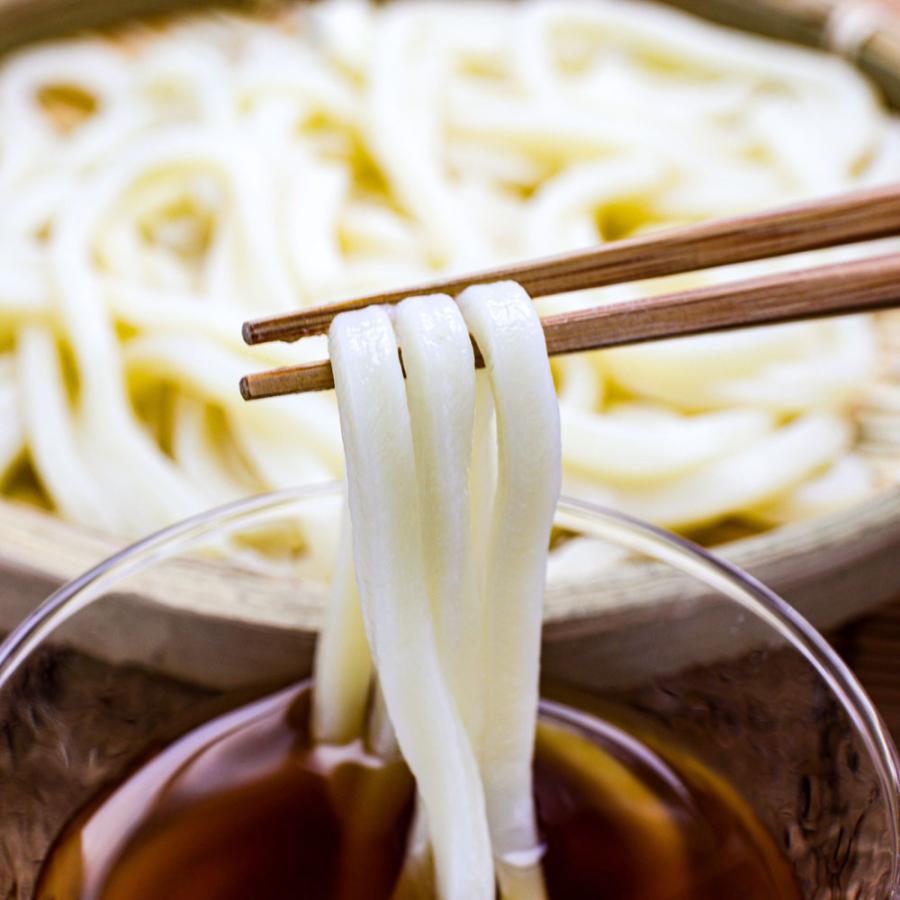 生麺冷やしうどん 5食 生めん ざるうどん 冷やしうどん 饂飩 ウドン ポスト投函 生麺 簡単 歳末 お歳暮 年末グルメ 贈答 迎春 | おさかな問屋 魚奏 | 15