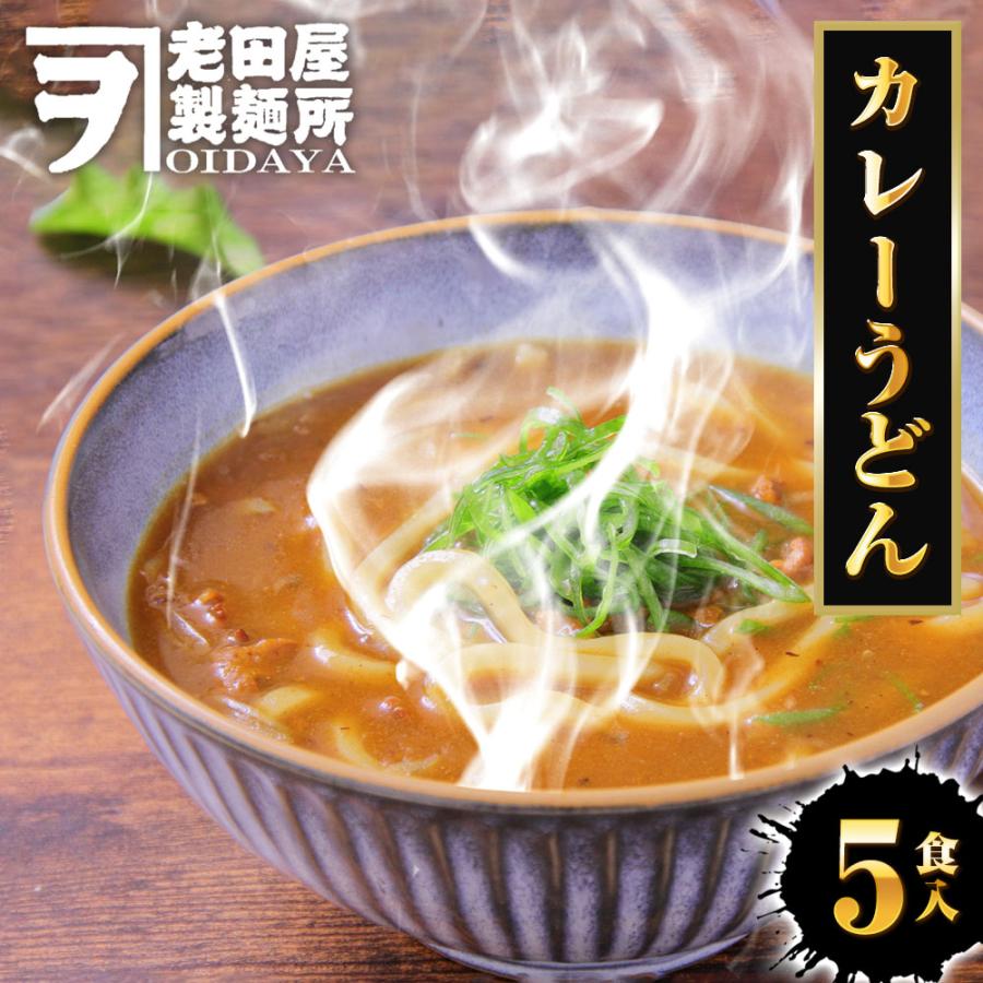 生麺カレーうどん 5食 生めん うどん 130g×5玉 カレー 饂飩 生うどん ウドン ポスト投函 生麺 簡単 歳末 お歳暮 年末グルメ 贈答 迎春 | おさかな問屋 魚奏 | 16