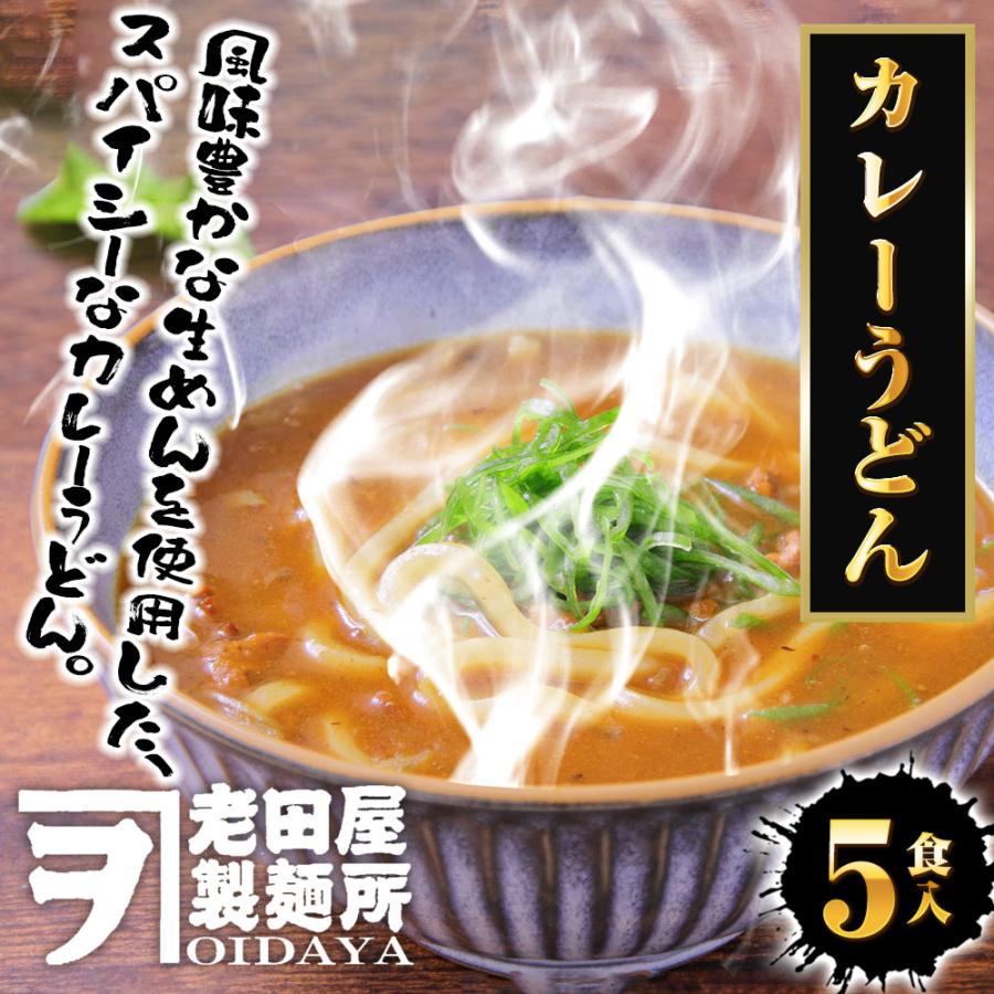 生麺カレーうどん 5食 生めん うどん 130g×5玉 カレー 饂飩 生うどん ウドン ポスト投函 生麺 簡単 歳末 お歳暮 年末グルメ 贈答 迎春 | おさかな問屋 魚奏 | 01