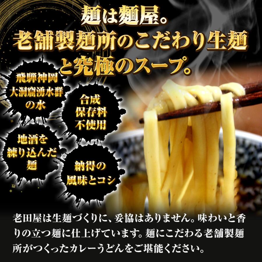 生麺カレーうどん 5食 生めん うどん 130g×5玉 カレー 饂飩 生うどん ウドン ポスト投函 生麺 簡単 歳末 お歳暮 年末グルメ 贈答 迎春 | おさかな問屋 魚奏 | 02
