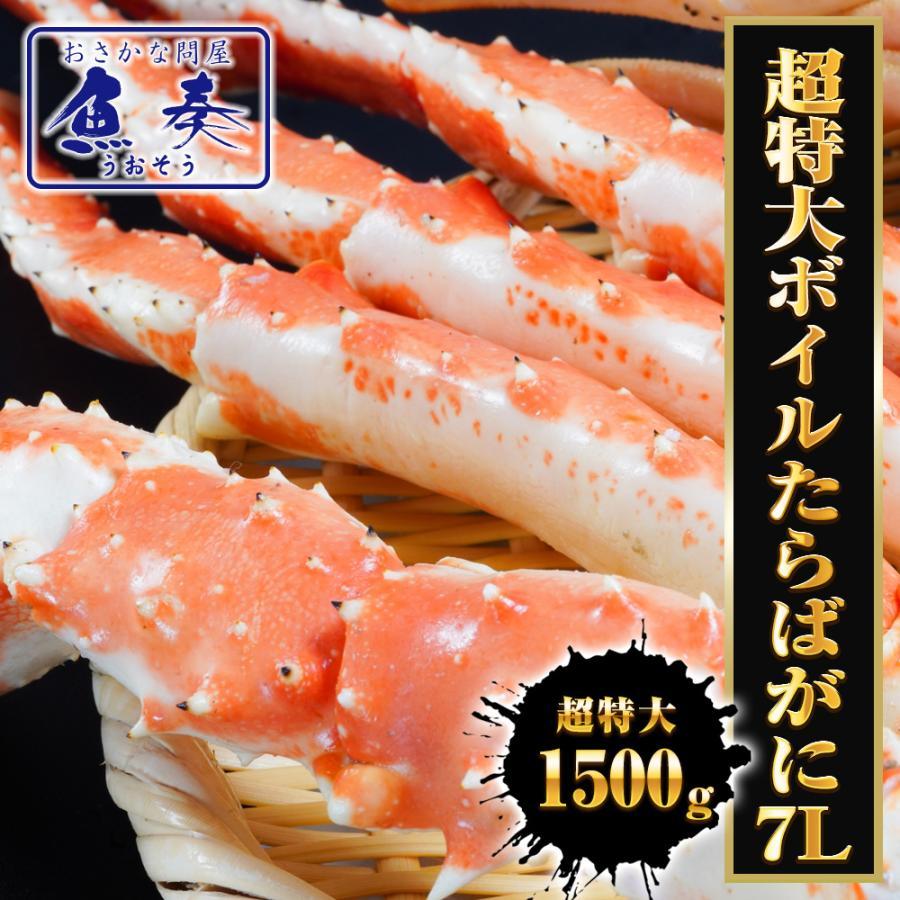 超特大ボイルたらばがに 7Ｌ 約1500ｇ 極太 セクション 1肩 特大サイズ かに カニ 蟹 シュリンク 歳末 お歳暮 年末グルメ 贈答 迎春 | おさかな問屋 魚奏