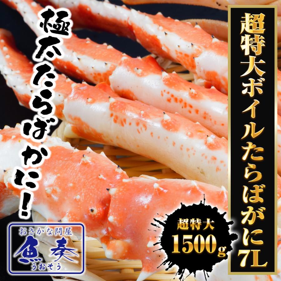 超特大ボイルたらばがに 7Ｌ 約1500ｇ 極太 セクション 1肩 特大サイズ かに カニ 蟹 シュリンク 歳末 お歳暮 年末グルメ 贈答 迎春 | おさかな問屋 魚奏 | 01