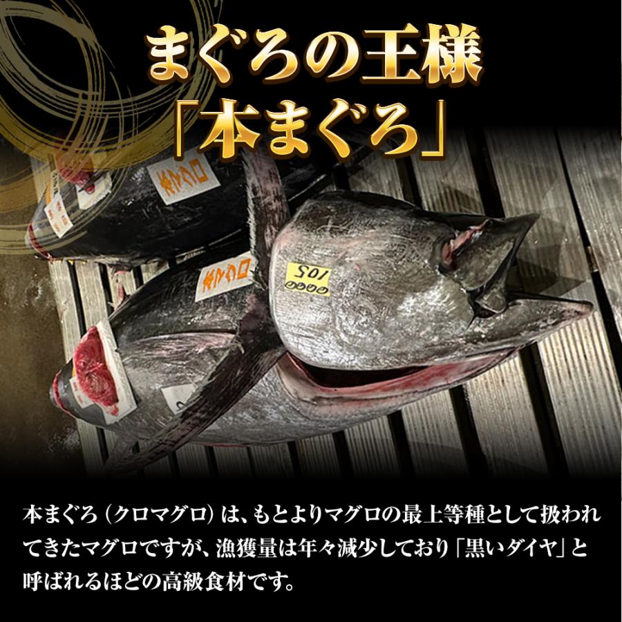 本まぐろ中トロ 柵 1kg まぐろ マグロ 鮪 短冊 蓄養 地中海 本マグロ 本鮪 黒まぐろ 黒マグロ 中とろ 歳末 お歳暮 年末グルメ 贈答 迎春 | おさかな問屋 魚奏 | 05