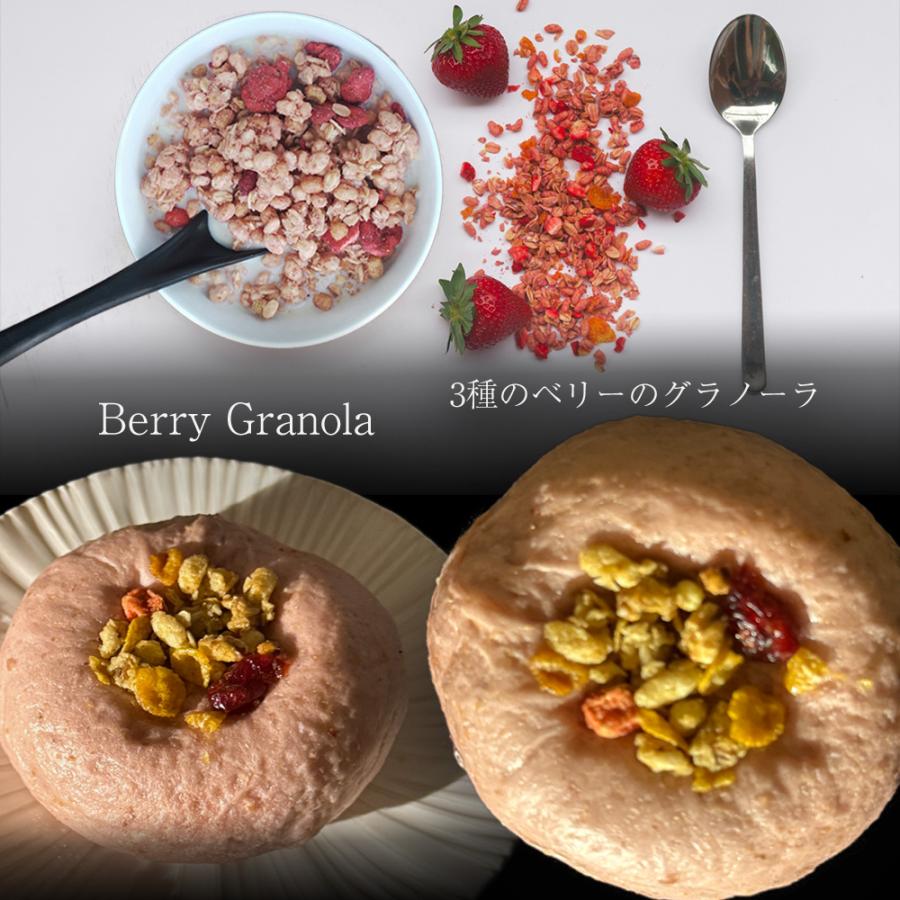 京都ベーグル 祇園 (9種10個セット) 米粉 生麩製法 ベーグル BAGEL 菓子パン パン 冷凍 買い置き 母の日 父の日 敬老 中元 ギフト | おさかな問屋 魚奏 | 09