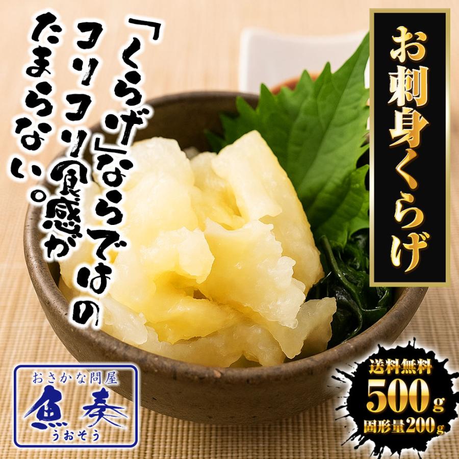 お刺身くらげ 500ｇ（固形量200ｇ） くらげ クラゲ 海月 タレ付き おさしみ 海鮮 サラダ 中外フーズ 歳末 お歳暮 年末グルメ 贈答 迎春 | おさかな問屋 魚奏 | 01