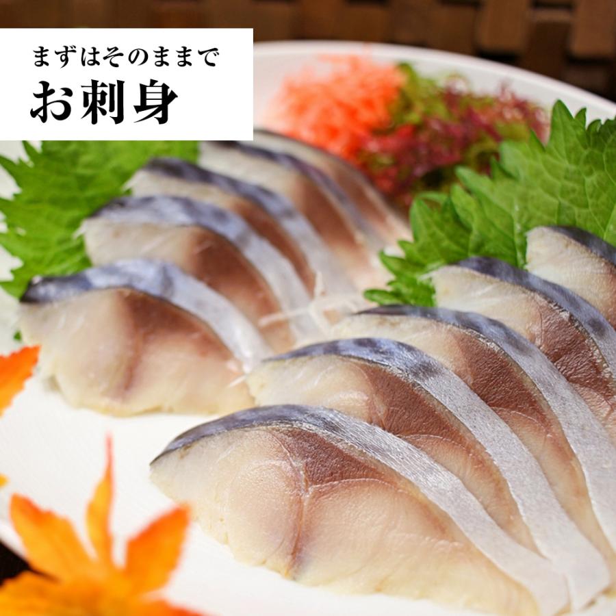 大とろしめさば 12パック（1枚真空・特大サイズ 約150〜200ｇ） 締めさば 〆さば 鯖 サバ 大トロ 歳末 お歳暮 年末グルメ 贈答 迎春 | マルヨ | 11