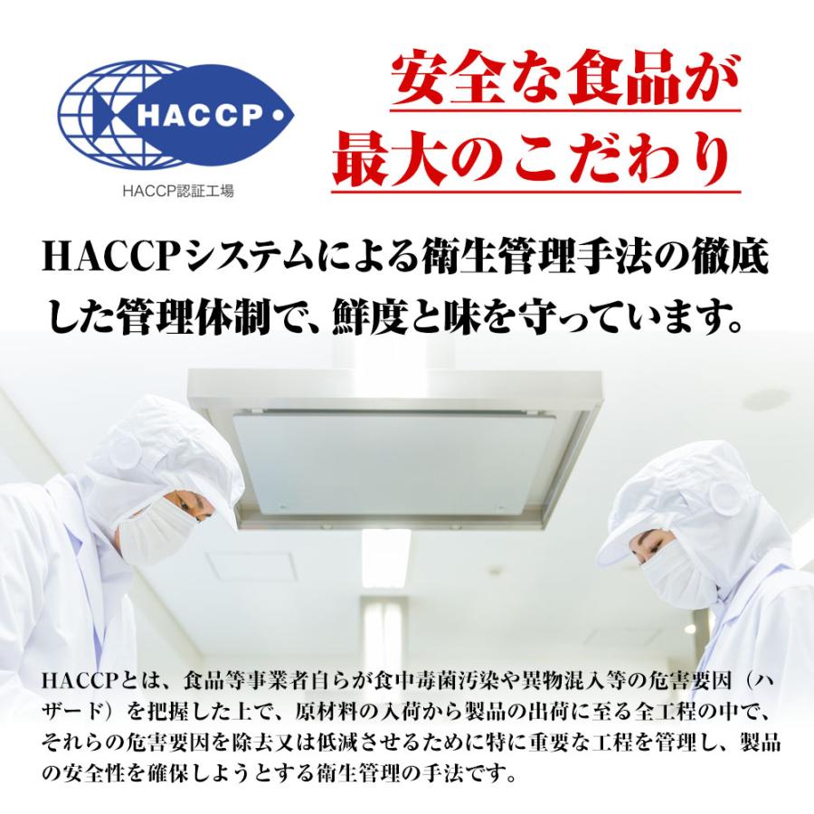 辛子明太子 メガ盛り 1kg 切れ明太 博多めんたいこ 訳あり 無着色 めんたいこ メンタイコ 明太子 切子 歳末 お歳暮 年末グルメ 贈答 迎春 | おさかな問屋 魚奏 | 07