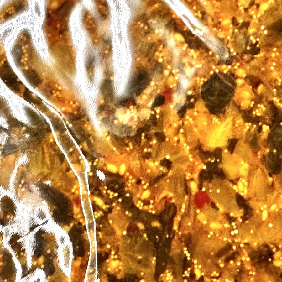 魚屋の明太高菜 1kg×16パック 送料無料 辛子高菜 たかな タカナ 高菜 めんたいこ 明太子 メンタイコ 歳末 お歳暮 年末グルメ 贈答 迎春 | おさかな問屋 魚奏 | 16