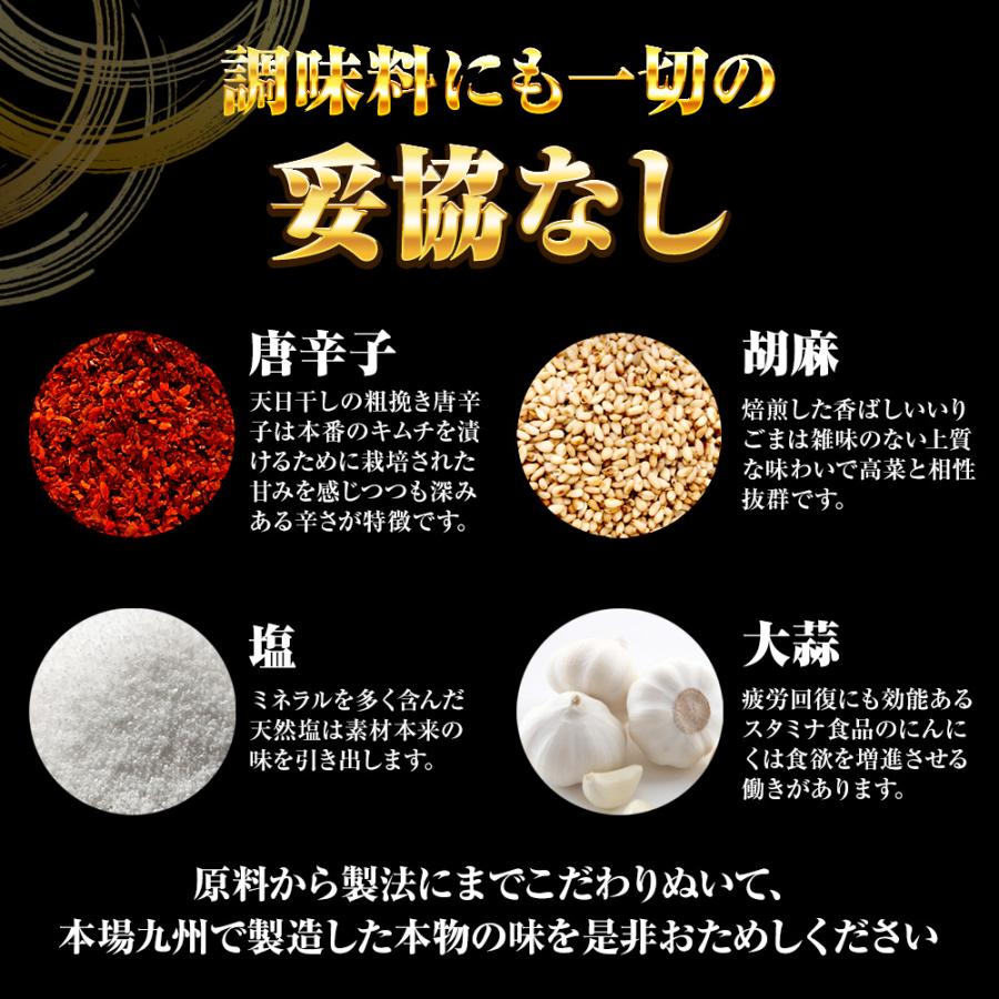 魚屋の明太高菜 1kg×16パック 送料無料 辛子高菜 たかな タカナ 高菜 めんたいこ 明太子 メンタイコ 歳末 お歳暮 年末グルメ 贈答 迎春 | おさかな問屋 魚奏 | 06