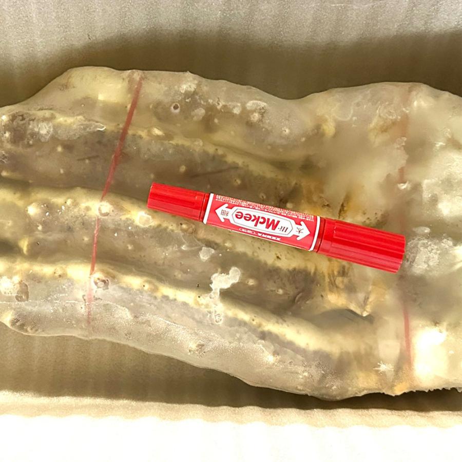 メガサイズ 生たらばかに 10Ｌ なんと約2500ｇ 超極太 セクション 1肩 特大サイズ かに カニ 蟹 歳末 お歳暮 年末グルメ 贈答 迎春 | おさかな問屋 魚奏 | 18