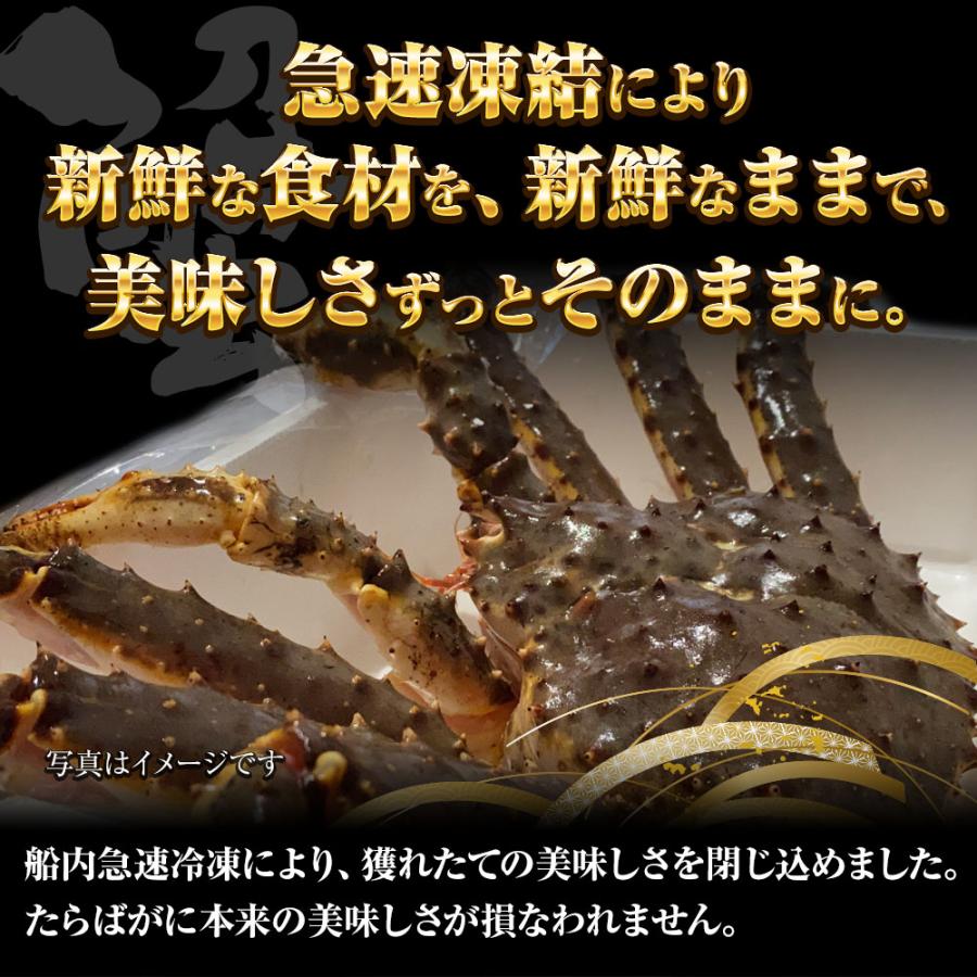 メガサイズ 生たらばかに 10Ｌ なんと約2500ｇ 超極太 セクション 1肩 特大サイズ かに カニ 蟹 歳末 お歳暮 年末グルメ 贈答 迎春 | おさかな問屋 魚奏 | 05