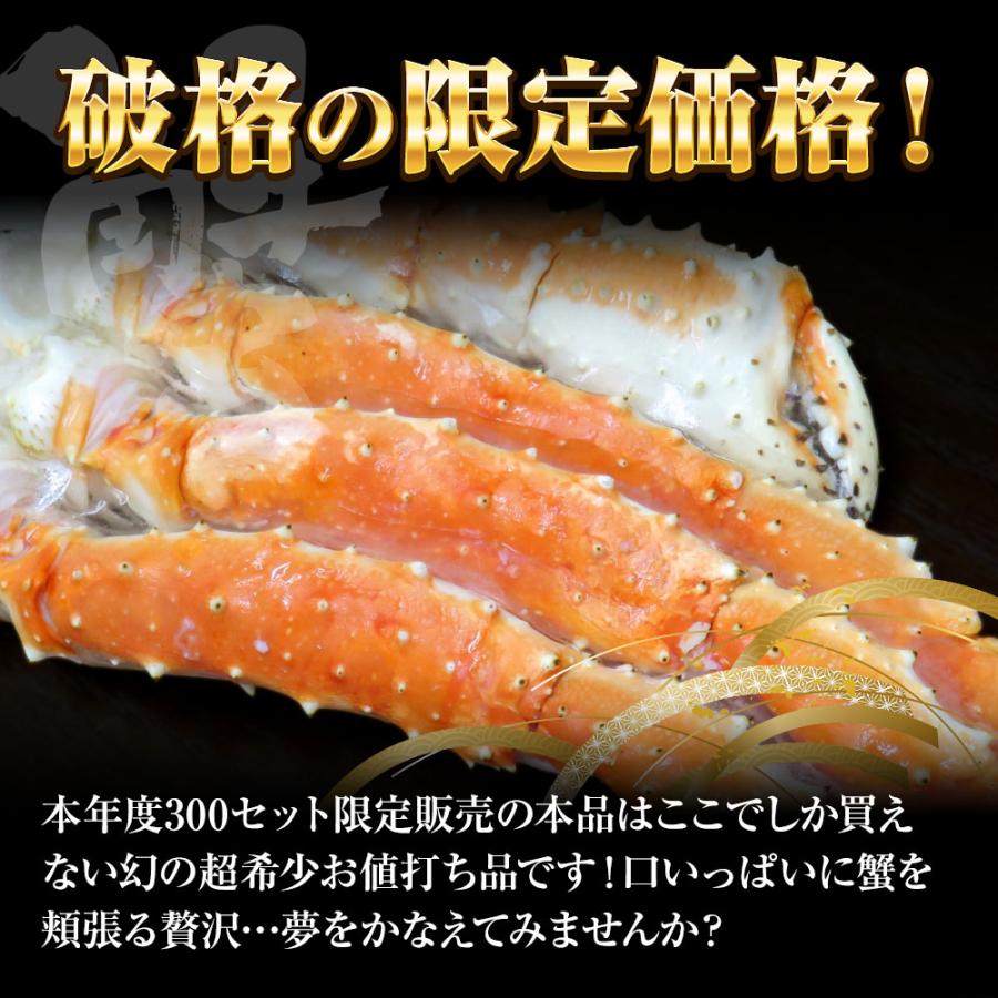 メガサイズ 生たらばかに 10Ｌ なんと約2500ｇ 超極太 セクション 1肩 特大サイズ かに カニ 蟹 歳末 お歳暮 年末グルメ 贈答 迎春 | おさかな問屋 魚奏 | 07