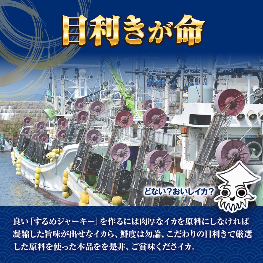 するめジャーキー 訳あり 170g 酒の肴 スルメ いか イカ ポイント消化 おつまみ おかず おやつ 駄菓子 歳末 お歳暮 年末グルメ 贈答 迎春 | おさかな問屋 魚奏 | 03