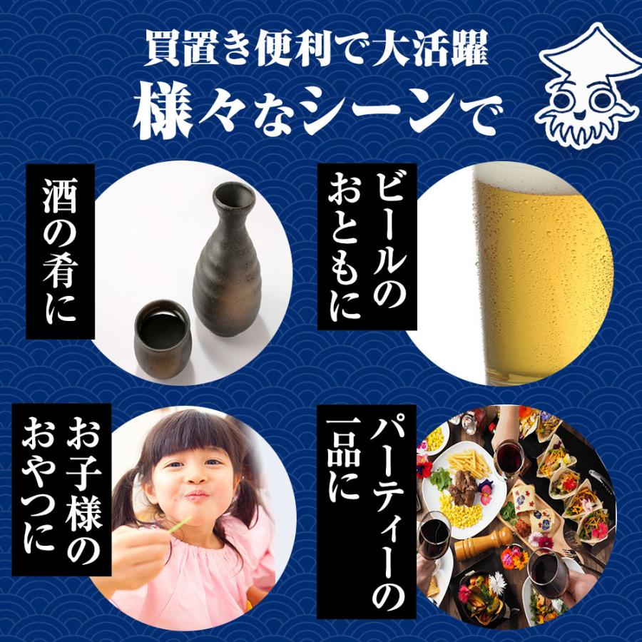 ソフトさきいか 珍味 170g 訳アリ 訳あり おつまみ 酒の肴 さきいか サキイカ イカ 烏賊 ポイント消化 歳末 お歳暮 年末グルメ 贈答 迎春 | おさかな問屋 魚奏 | 11