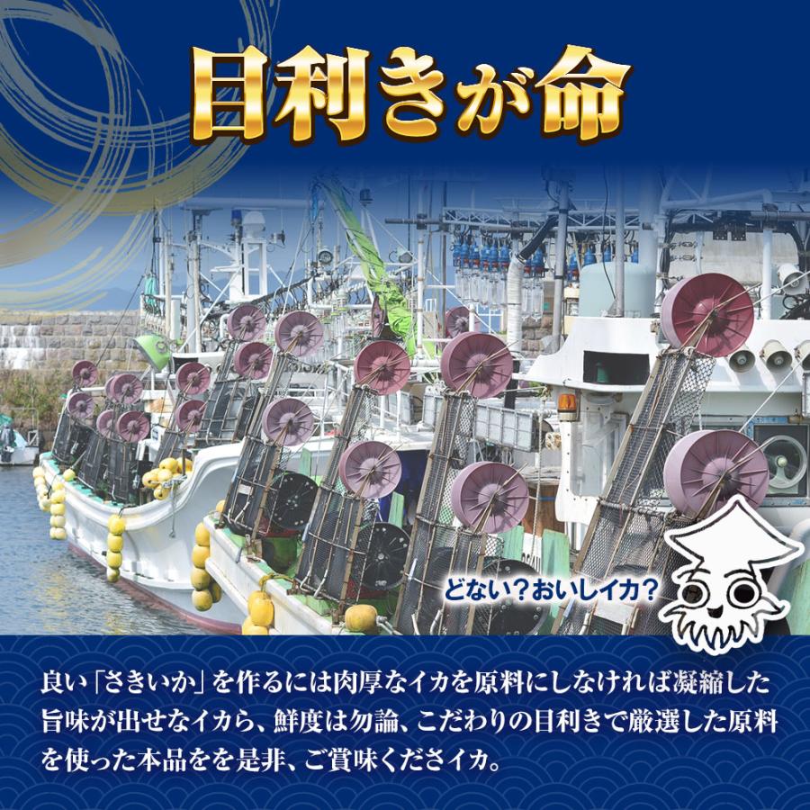 ソフトさきいか 珍味 170g 訳アリ 訳あり おつまみ 酒の肴 さきいか サキイカ イカ 烏賊 ポイント消化 歳末 お歳暮 年末グルメ 贈答 迎春 | おさかな問屋 魚奏 | 03