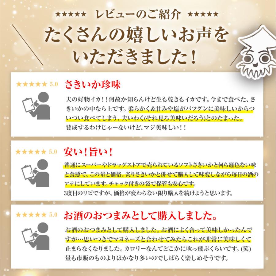 ソフトさきいか 珍味 170g 訳アリ 訳あり おつまみ 酒の肴 さきいか サキイカ イカ 烏賊 ポイント消化 歳末 お歳暮 年末グルメ 贈答 迎春 | おさかな問屋 魚奏 | 09