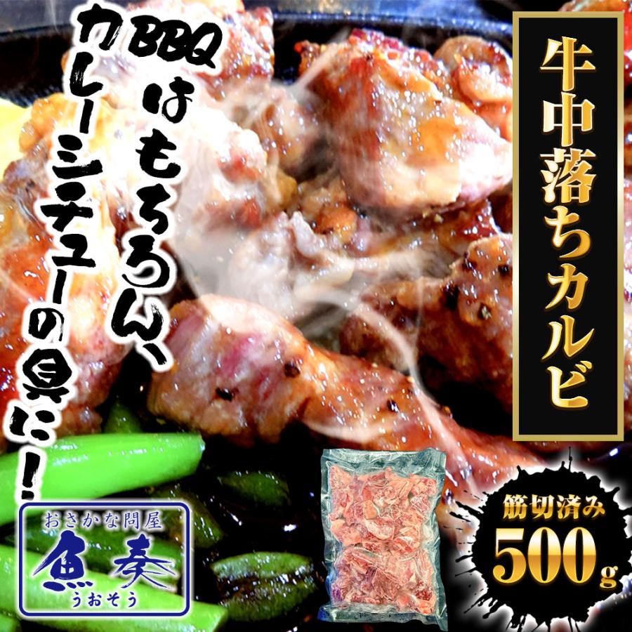 牛中落ちカルビ 500g 牛 牛肉 バラ肉 カルビ リブ ビーフ メキシコ産 焼肉 BBQ サイコロステーキ 歳末 お歳暮 年末グルメ 贈答 迎春 | おさかな問屋 魚奏 | 01