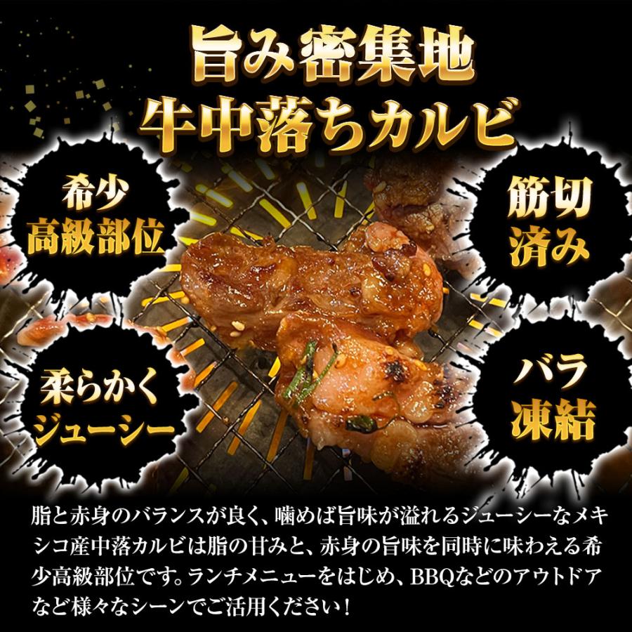 牛中落ちカルビ 500g 牛 牛肉 バラ肉 カルビ リブ ビーフ メキシコ産 焼肉 BBQ サイコロステーキ 歳末 お歳暮 年末グルメ 贈答 迎春 | おさかな問屋 魚奏 | 02