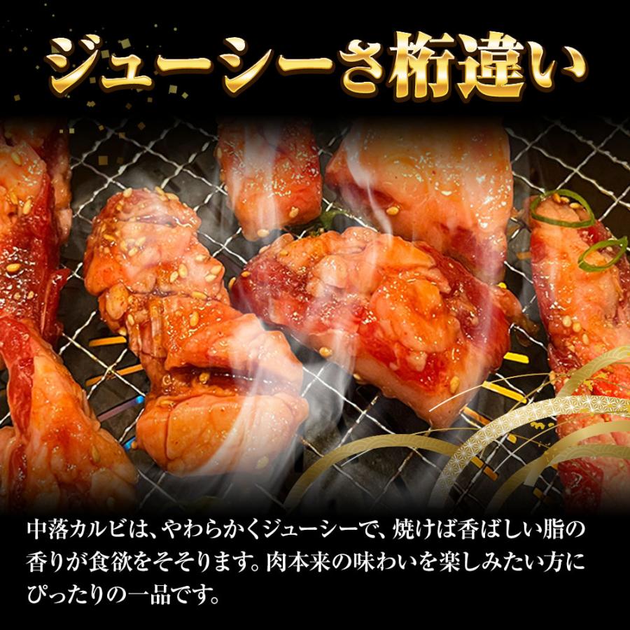 牛中落ちカルビ 500g 牛 牛肉 バラ肉 カルビ リブ ビーフ メキシコ産 焼肉 BBQ サイコロステーキ 歳末 お歳暮 年末グルメ 贈答 迎春 | おさかな問屋 魚奏 | 03