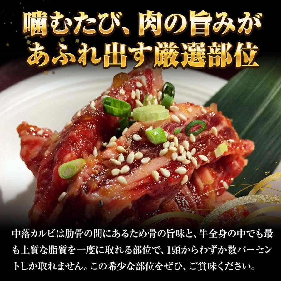 牛中落ちカルビ 500g 牛 牛肉 バラ肉 カルビ リブ ビーフ メキシコ産 焼肉 BBQ サイコロステーキ 歳末 お歳暮 年末グルメ 贈答 迎春 | おさかな問屋 魚奏 | 04