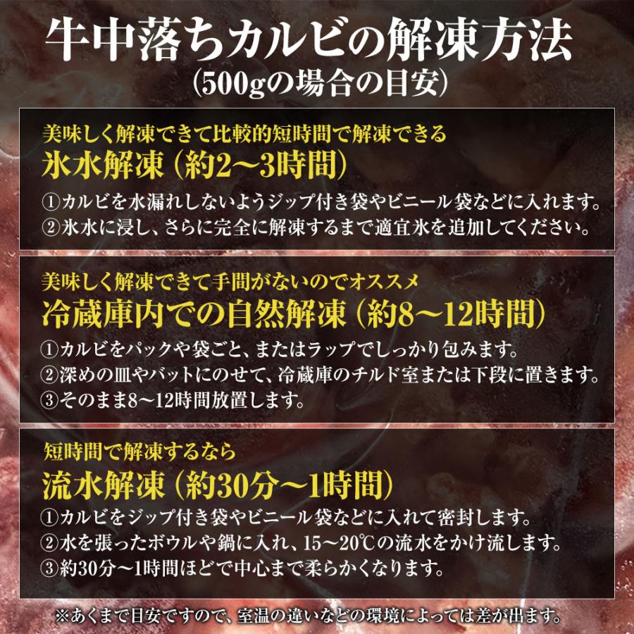 牛中落ちカルビ 500g 牛 牛肉 バラ肉 カルビ リブ ビーフ メキシコ産 焼肉 BBQ サイコロステーキ 歳末 お歳暮 年末グルメ 贈答 迎春 | おさかな問屋 魚奏 | 08