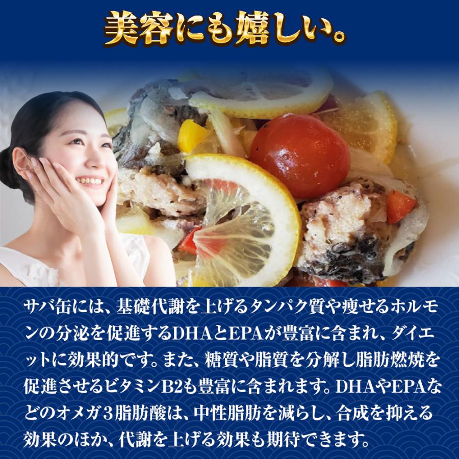 さば水煮 190g（1回の購入で24個までOK）缶詰 さば サバ 鯖 日本のさば 水煮 宝幸 HOKO 歳末 お歳暮 年末グルメ 贈答 迎春 | HOKO | 04