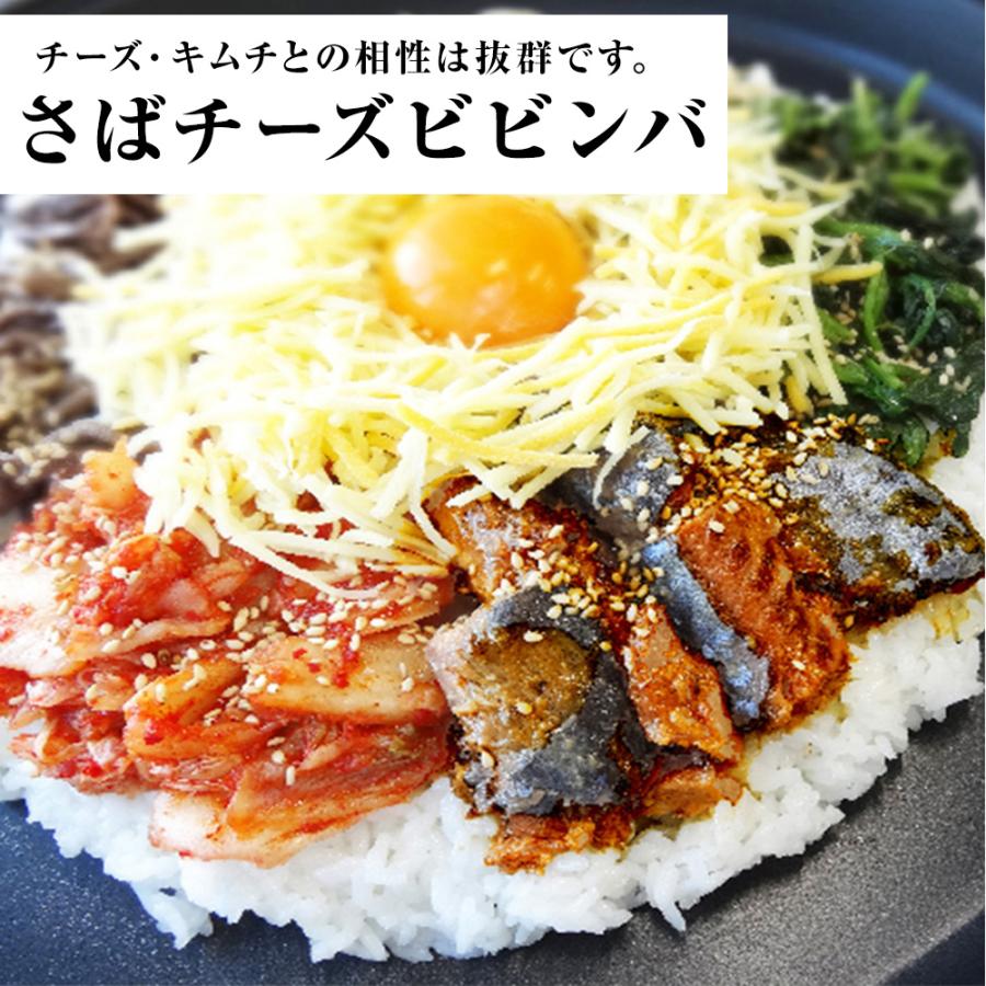 さば味噌煮 190g（1回の購入で24個までOK）缶詰 さば サバ 鯖 日本のさば 味噌 宝幸 HOKO 歳末 お歳暮 年末グルメ 贈答 迎春 | HOKO | 10