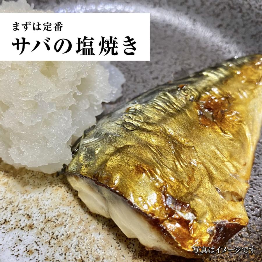 無塩 骨取り さば 切身（30g×20切） さば サバ 切り身 弁当 朝食 天然もの 歳末 お歳暮 年末グルメ 贈答 迎春 | おさかな問屋 魚奏 | 13
