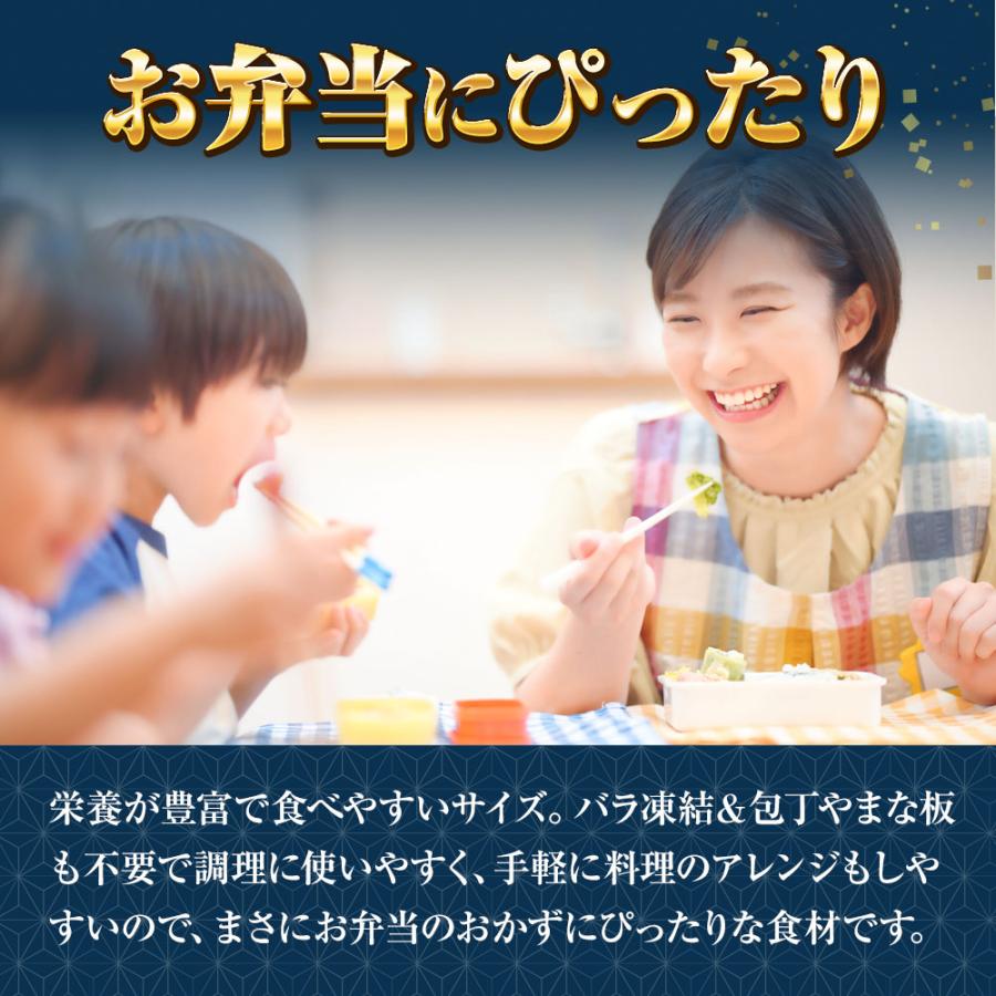 無塩 骨取り さば 切身（30g×20切） さば サバ 切り身 弁当 朝食 天然もの 歳末 お歳暮 年末グルメ 贈答 迎春 | おさかな問屋 魚奏 | 08