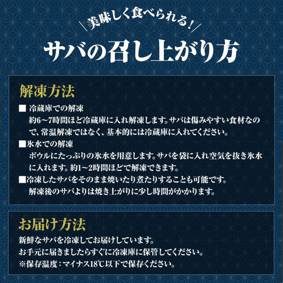 無塩 骨取り さば 切身（30g×20切） さば サバ 切り身 弁当 朝食 天然もの 歳末 お歳暮 年末グルメ 贈答 迎春 | おさかな問屋 魚奏 | 09