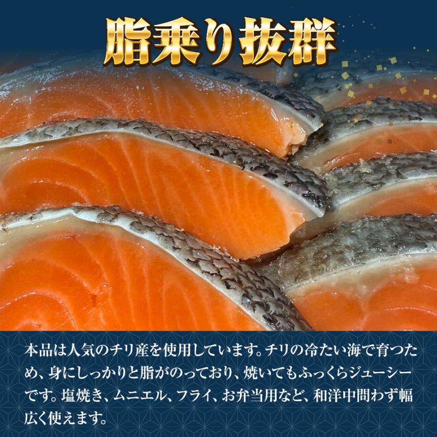 無塩 骨取り 銀鮭 切身（30g×20切） さけ サケ 切り身 弁当 朝食 生鮭 歳末 お歳暮 年末グルメ 贈答 迎春 | おさかな問屋 魚奏 | 06