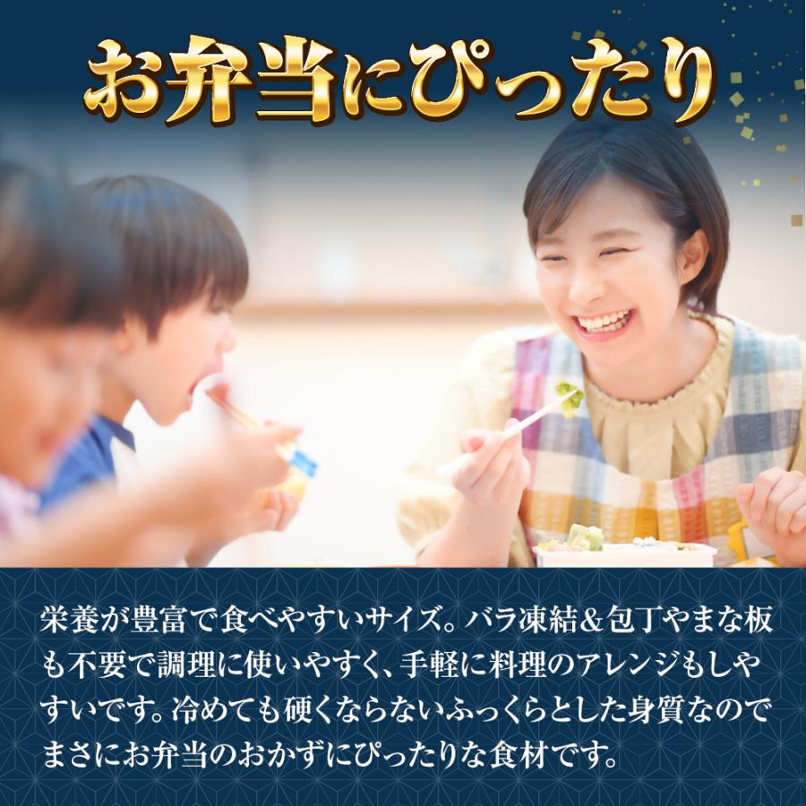 無塩 骨取り 銀鮭 切身（30g×20切） さけ サケ 切り身 弁当 朝食 生鮭 歳末 お歳暮 年末グルメ 贈答 迎春 | おさかな問屋 魚奏 | 07